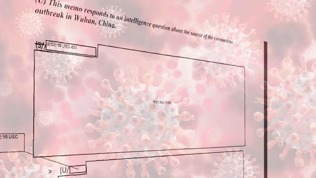 DIA Releases Heavily Redacted Documents on COVID-19 Origin: Raises More Questions than Answers