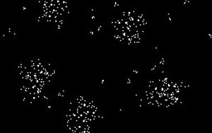 Can You Decode an Alien Message?