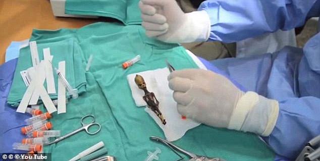 A longtime UFO hunter and enthusiast, Navia-Osorio spearheaded the publication of a report on the 'Atacama skeleton' in 2013 via the UFO organization that he led: the Institute for Exobiological Investigation and Study (IIEE)