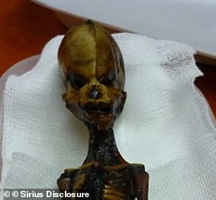 Anatomy Professor Siân Halcrow compared the dramatic-seeming dimensions of Ata's skull to fetal medical replicas, called 'bone clones,' and found that even Ata's small facial features weren't unusual for her 15-week age