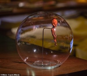 UFO hunter who has studied ‘alien’ mummy for over a decade claims remains are an ancient species of tiny, cave-dwelling human