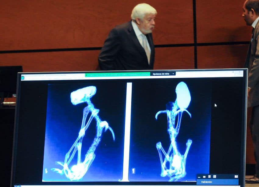 Another UFO session held in Mexican Congress