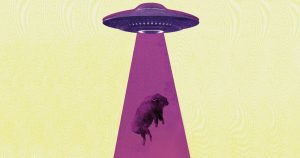 ND’s New Mutual UFO Network Chapter, Northland MUFON, Now Operating