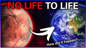 When Did Evolution Start on Earth