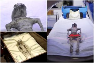 Mystery Continues With Shocking Facts Revealed In Latest DNA Findings Read Here