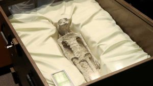 DNA of Mexico’s alien corpses matches not to ‘humans’ but to ‘unknown species’: analyst