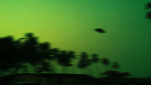 Solar Eclipse Ufo: UFO Spotted In Texas During Solar Eclipse? Video Goes Viral | US News News