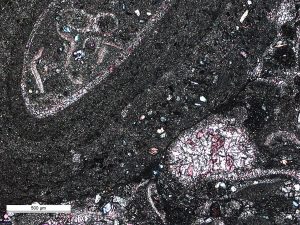 Ancient ocean oxygenation timeline revealed