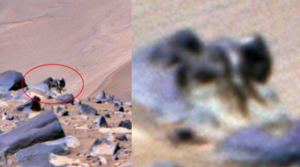 Ant-like alien creature seen in Perseverance Mars rover image