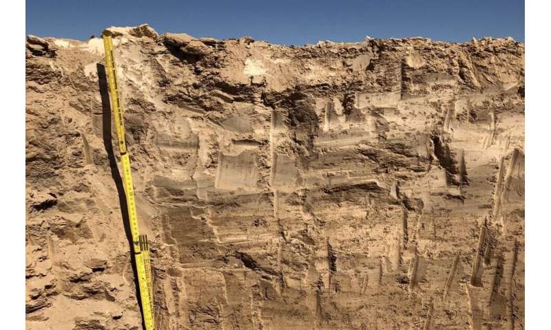 Hidden biosphere beneath world's driest hot desert