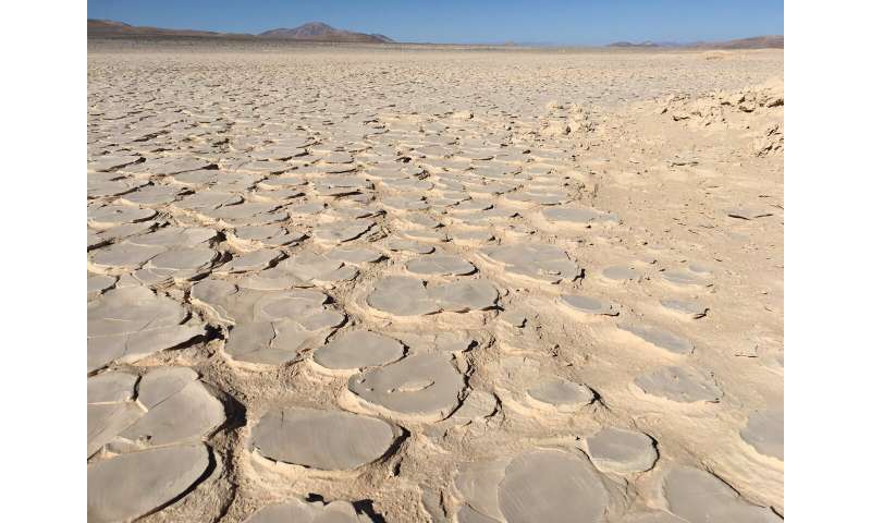 Hidden biosphere beneath world's driest hot desert