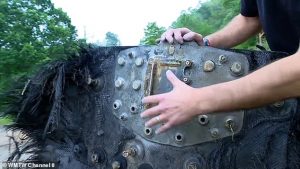 North Carolina man shares snaps of bizarre furry ‘UFO’ that landed in his garden – and believes it may have come from space