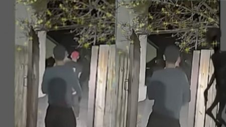 Watch | ‘Once You See It, You Can’t Deny’: Expert Claims Viral Las Vegas Alien Encounter Video Is ‘Authentic’