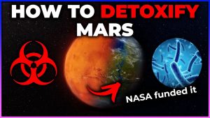 NASA Wants to Make Mars Less Toxic with this Clever Idea