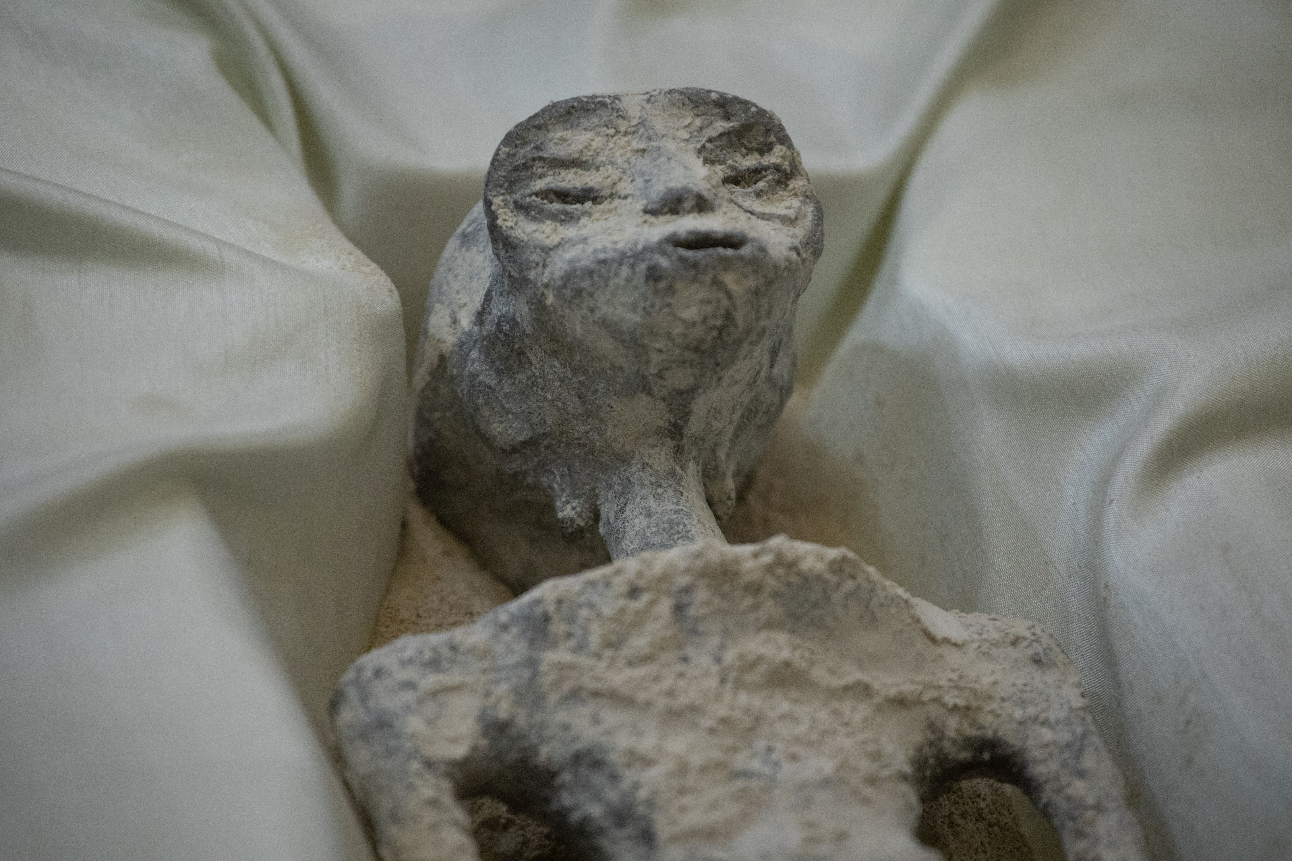 A close up of one of the alleged alien bodies