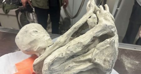 Fresh twist in ‘alien mummy’ corpses as fingerprint results come back