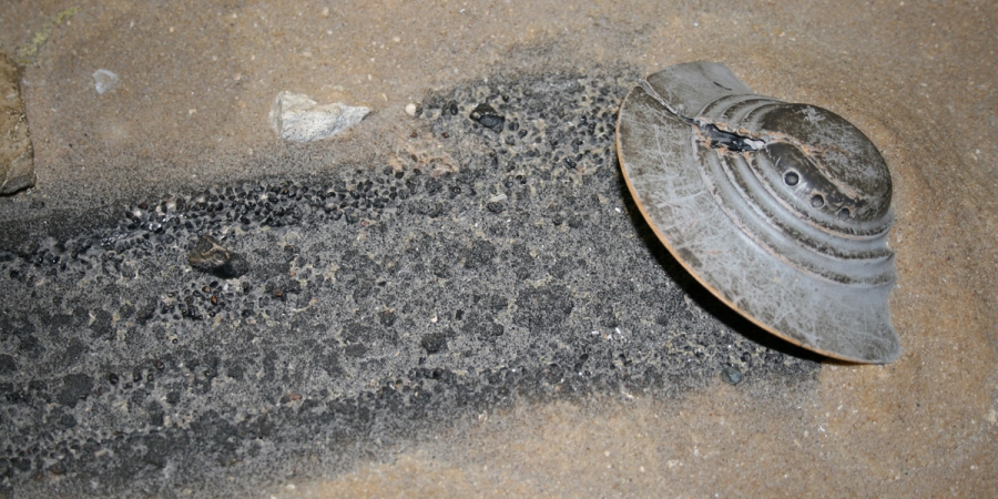 Survey Reveals 68% Of UFO Believers Think Government Withholds Significant Information