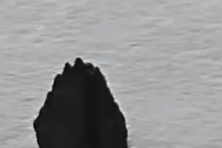 Recovered Piece Of Alien Spacecraft That Won’t Bend A Flower