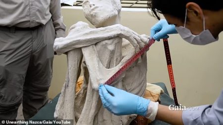 US Congress to investigate controversial Peru ‘alien’ mummies amid fears they could be linked to UFOs