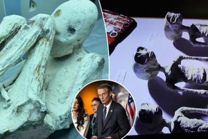Tim Burchett pledges to help probe Peru’s ‘alien mummies’