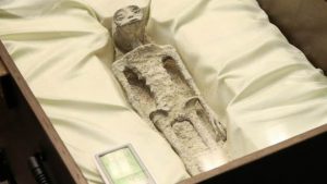 Ex-Pentagon UFO chief claims ‘non-human’ bodies found on Earth: ‘I’ve handled alien tech’