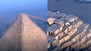 Paraglider captures unexpected visitor at the top of the Great Pyramid of Giza