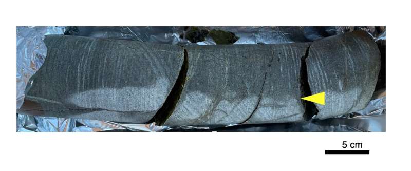 Drill core sample with opened fractures: This picture was taken on site when the drill core sample was washed, flamed and then cracked. The 30-centimeter-long, 85-millimeter-diameter core was taken back to Japan for further study. Credit: Y. Suzuki/ CC BY NC ND 2-billion-year-old rock home to living microbes: New research could help us understand very early life on Earth and the hunt for evidence of life on Mars