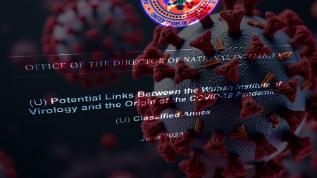 ODNI Releases Partially Declassified Annex on Wuhan Lab and COVID-19 Origins