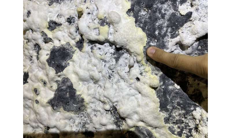 USF research explores volcanic caves, advancing the search for life on Mars