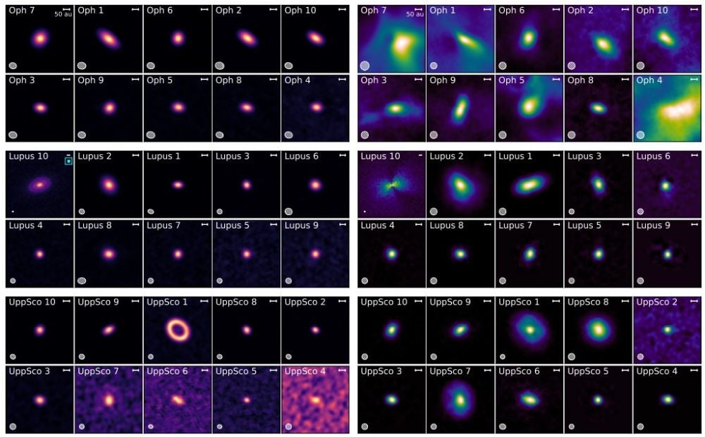 This figure shows 1.3 mm continuums on the left, and carbon monoxide zero moments on the right for the 60 young disks in the AGE-PRO sample. The 1.3 mm continuum comes from dust and lets astronomers trace the total dust mass in the disk. The CO moment zero reveals the overall gas and dust and the size and structure of the disk. Image Credit: Zhang et al. 2025. The Astrophysical Journal.