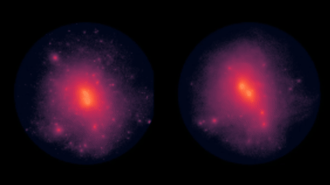 A simulated set of galaxies with different dark matter behavior programmed into the history of the Universe. Credit: Cluscevic Lab.