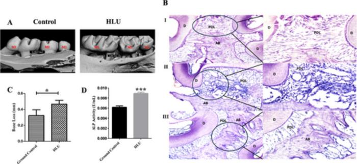 Spaceflight Could Be Bad For Your Teeth