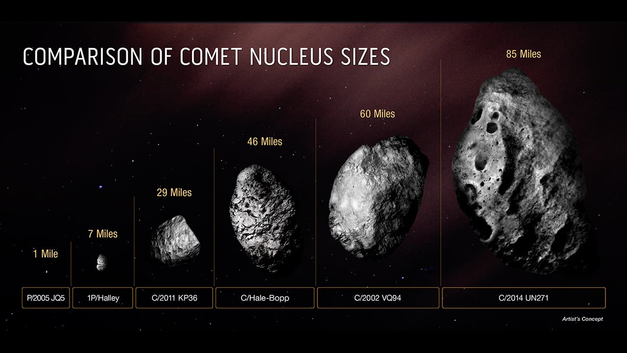 A size comparison for other known comets, versus UN271. Credit: NASA/ESA/Zena Levy/STScI