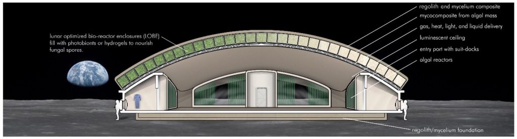 How Do You Build Something On Mars?