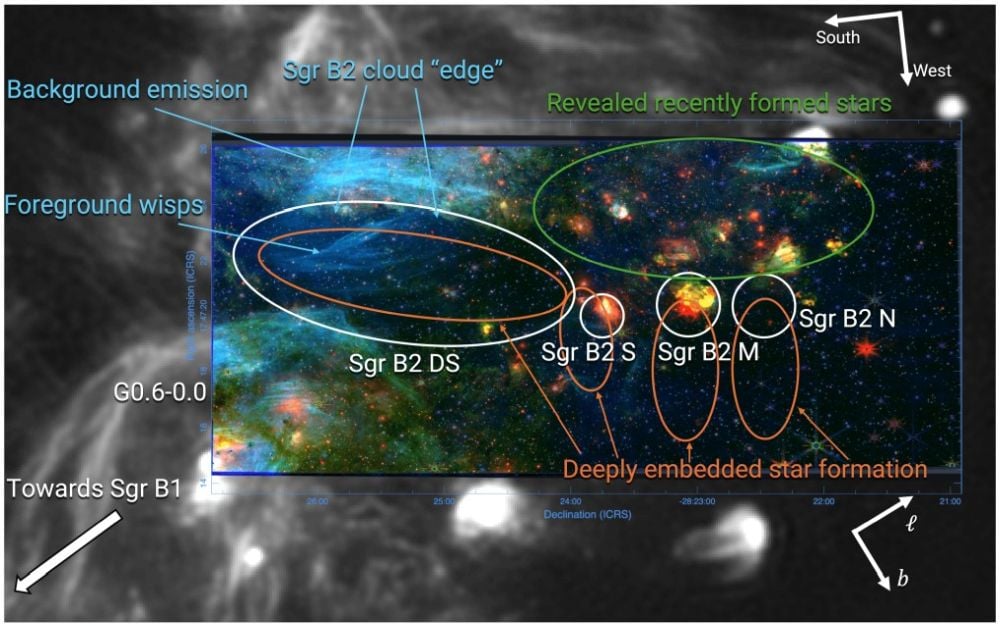 This image is a NIRCam tricolor figure overlaid on top of MeerKAT 1.2 GHz continuum with the main parts of the cloud and the observed features labeled. The blue color represents low extinction, green shows regions with higher extinction, and red shows warm dust. Image Credit: Budaiev et al. 2025