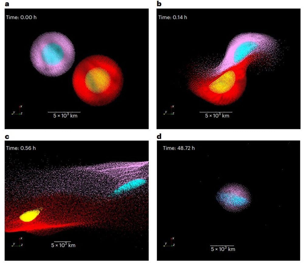 These screenshots from the simulations shows how the impact event played out. "The proto-Mercury (0.13 M⊕) is represented by a pink mantle and a turquoise core. The target is represented by a red mantle and a yellow core," the authors explain. The impact velocity is relatively low and the impact angle is 32.5 degrees. (b) and (c) show the impact and material being blasted away. (d) shows the Mercury candidate with 0.056 Earth masses, very close to the measured 0.055 Earth masses. Image Credit: Franco et al. 2025. NatAstr