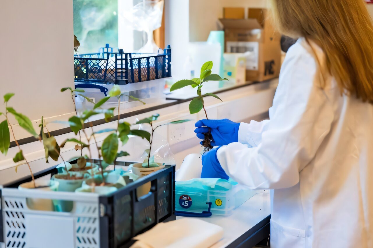 Physicist Florence Grant carefully assesses how the tea crops fared in the two types of soil, both mars and lunar, in this experiment. Credit: Chris Wenham
