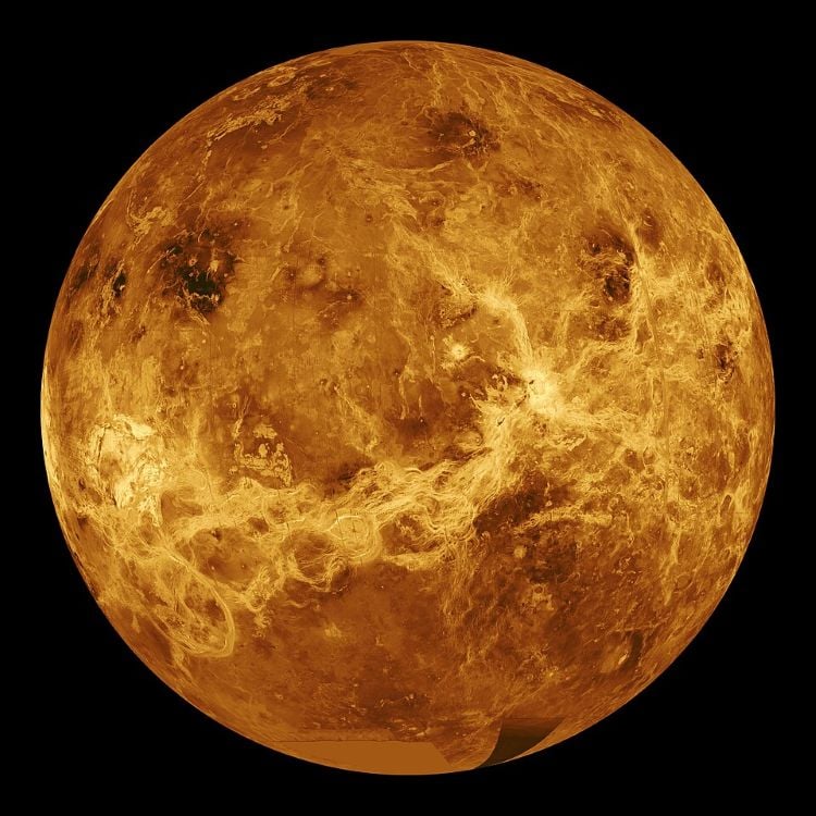 Modeling Venus Volcanic Plumes to Cloud-Level Heights