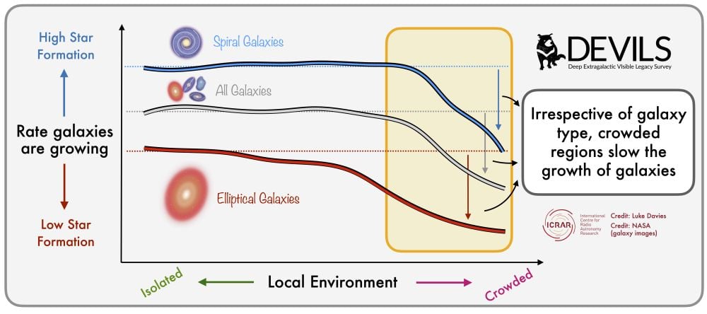 This graphic shows how the rate at which galaxies form stars and grow is inhibited in crowded environments. Image Credit: L. Davies. Licence type: Attribution (CC BY 4.0)
