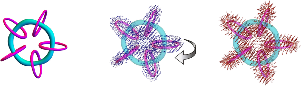 3D plots of the numerical solution for a knot soliton. Credit: Eto, et al
